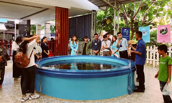 Nha Trang Museum Of Oceanography